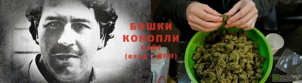 spice Алзамай