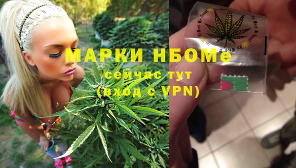 spice Алзамай