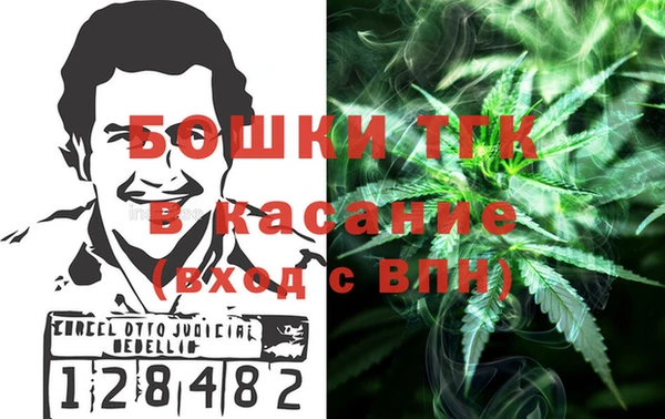 стаф Алексин