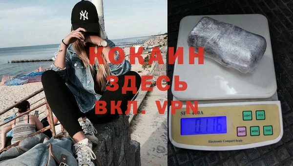 spice Алзамай