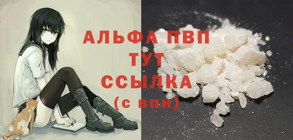 стаф Алексин